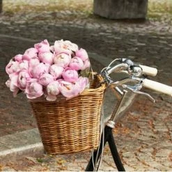 Grand Panier Sur Guidon De Vélo En Rotin Darcy L Basil -Garde-Boue Vélo Soldes grand panier sur guidon de velo en rotin darcy l basil full 5